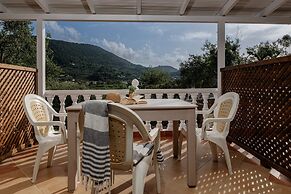 Elia Studios Zakynthos