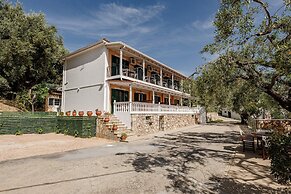 Elia Studios Zakynthos