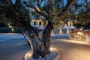 Elia Studios Zakynthos