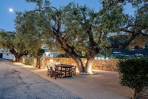 Elia Studios Zakynthos