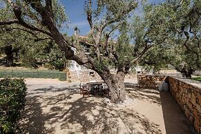 Elia Studios Zakynthos