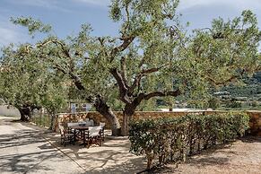 Elia Studios Zakynthos