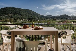 Elia Studios Zakynthos