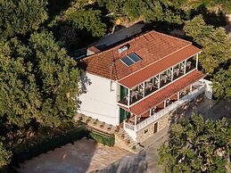 Elia Studios Zakynthos