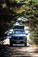 The Shepherd Company