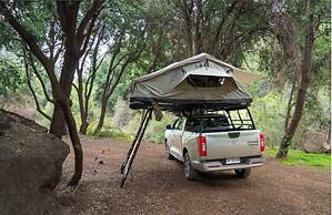 The Shepherd Company