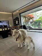 Wilderness Art Hotel