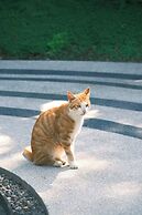 Wilderness Art Hotel