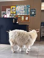 Wilderness Art Hotel