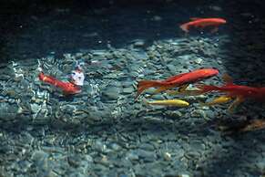 Lijiang half yard hotel