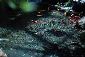 Lijiang half yard hotel