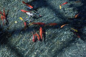 Lijiang half yard hotel