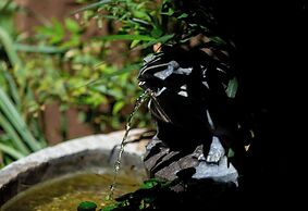 Lijiang half yard hotel