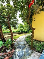 Tràng An Sunny Homestay