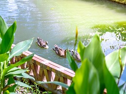 Tràng An Sunny Homestay