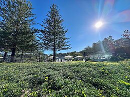 Charlesworth Nautilus Beach Resort