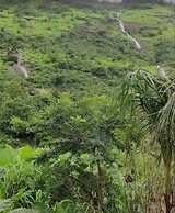 Hotel Krushnai Athavan Farm House