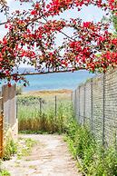 Beach House Steps Away From the sea