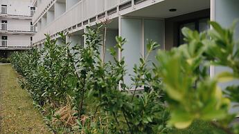 Apartamenty Sun & Snow Nadmorska Florina