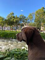 Apartamentos Otorongo