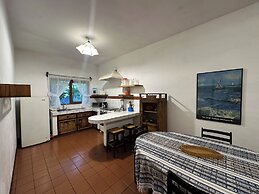 Apartamentos Otorongo