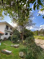 Apartamentos Otorongo