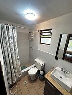 Apartamentos Otorongo