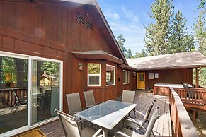 Arctic Wolf at Summit Base