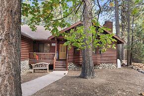 Arctic Wolf at Summit Base