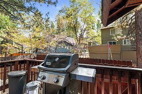Arctic Wolf at Summit Base