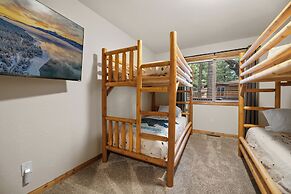 Arctic Wolf at Summit Base