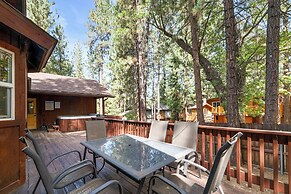 Arctic Wolf at Summit Base