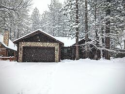 Arctic Wolf at Summit Base