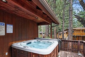 Arctic Wolf at Summit Base