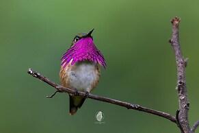 Hotel casa zoque colonial