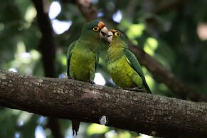 Hotel casa zoque colonial