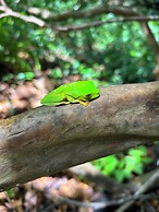 Hotel casa zoque colonial