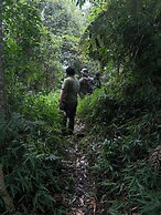 Hotel casa zoque colonial