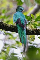 Hotel casa zoque colonial