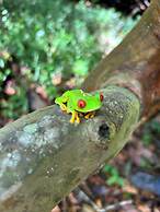 Hotel casa zoque colonial
