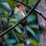 Hotel casa zoque colonial