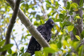 Hotel casa zoque colonial