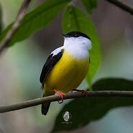 Hotel casa zoque colonial