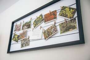 Halls Gap Escape Townhouses