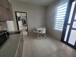 2019 Cacique by Stay with Bear