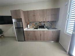 2019 Cacique by Stay with Bear