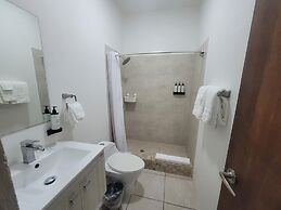 2019 Cacique by Stay with Bear