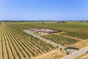 8 Mi to Lodi Lake: Luxe Home w/ On-site Vineyard