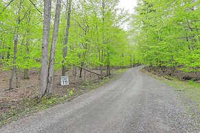 < 5 Mi to Whiteface Mtn Resort: Cabin-style Apt