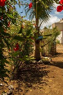 Casa Pitanga Noronha